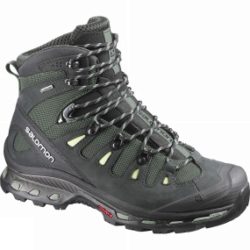 Salomon Womens Quest 4D 2 GTX Boot Sage Green / Asphalt / Flashy-X